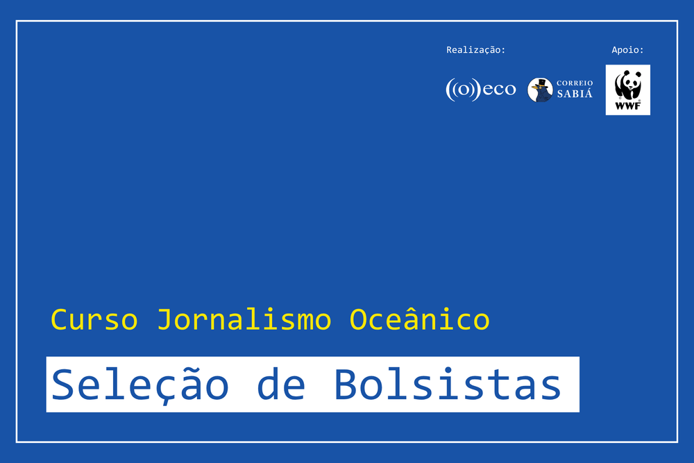 Últimos dias para concorrer a 50 bolsas no Curso de Jornalismo Oceânico