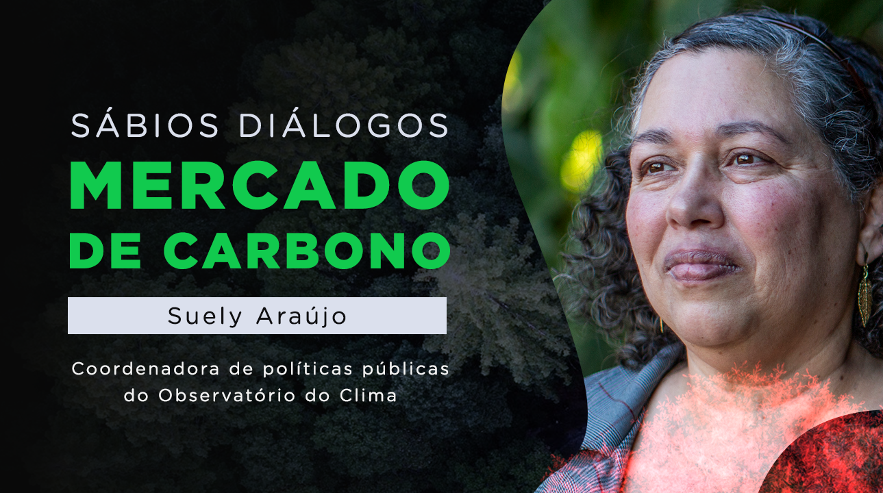 Sábios Diálogos: ex-presidente do Ibama e coordenadora do Observatório do Clima explica mercado de carbono