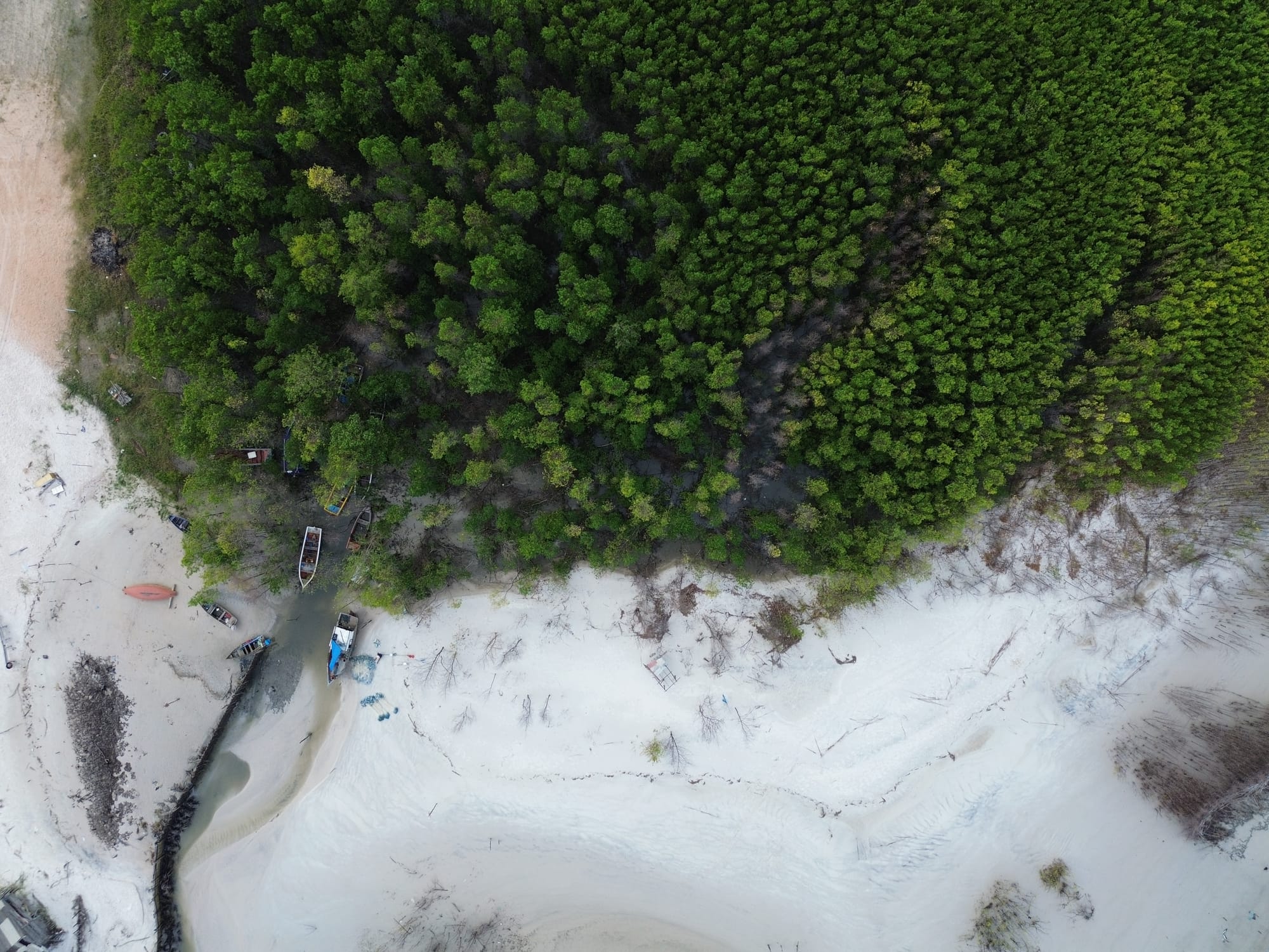 Desmatamento na Amazônia cai e muda de tendência: de áreas públicas para privadas