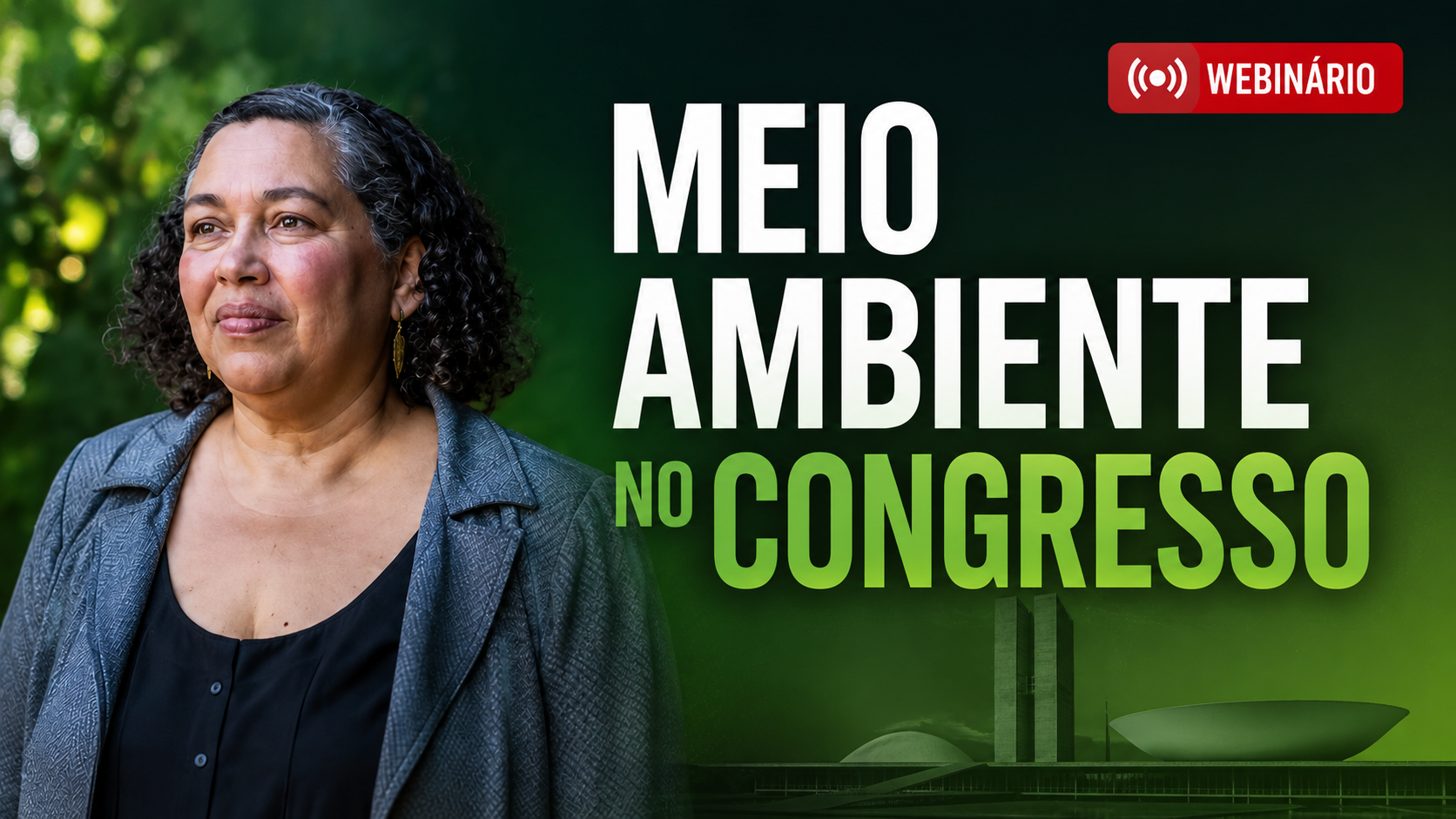 É agora: assista ao webinário sobre a agenda legislativa ambiental, com Suely Araújo