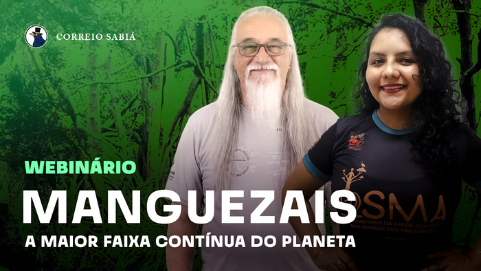 Webinário sobre manguezais: Brasil tem a maior faixa contínua do planeta