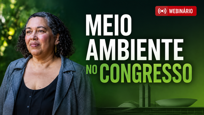 É agora: assista ao webinário sobre a agenda legislativa ambiental, com Suely Araújo