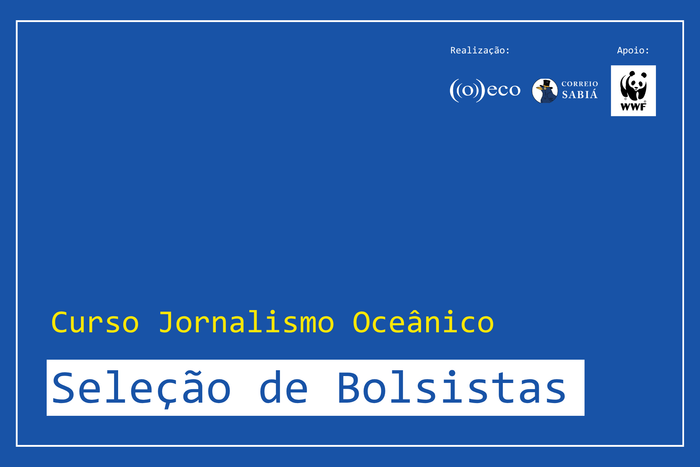 Últimos dias para concorrer a 50 bolsas no Curso de Jornalismo Oceânico